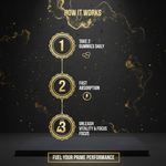 Load image into Gallery viewer, Himalayan Shilajit Gummies
